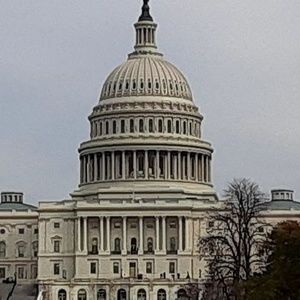 Meet your Posher, Melvin